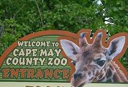Things To Do Cape May County Zoo